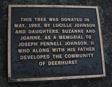 1993 Johnson Plaque